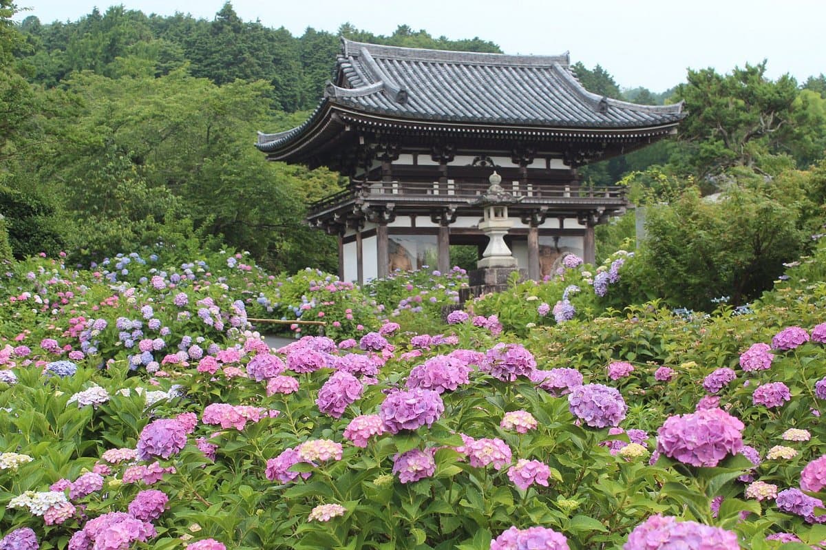 Kannonji-Tempel