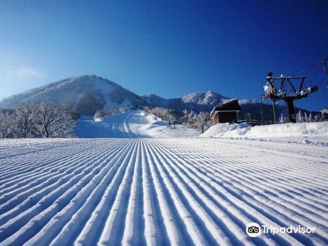 Snow Resort The Cupid of Romance