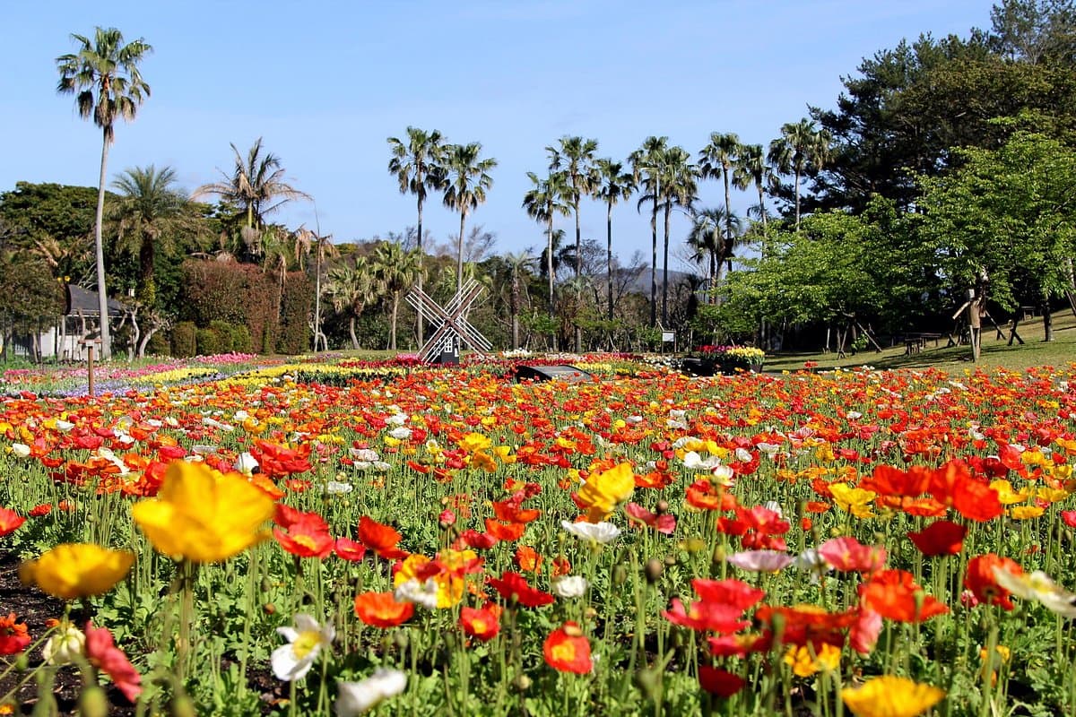 Blumenpark Kagoshima