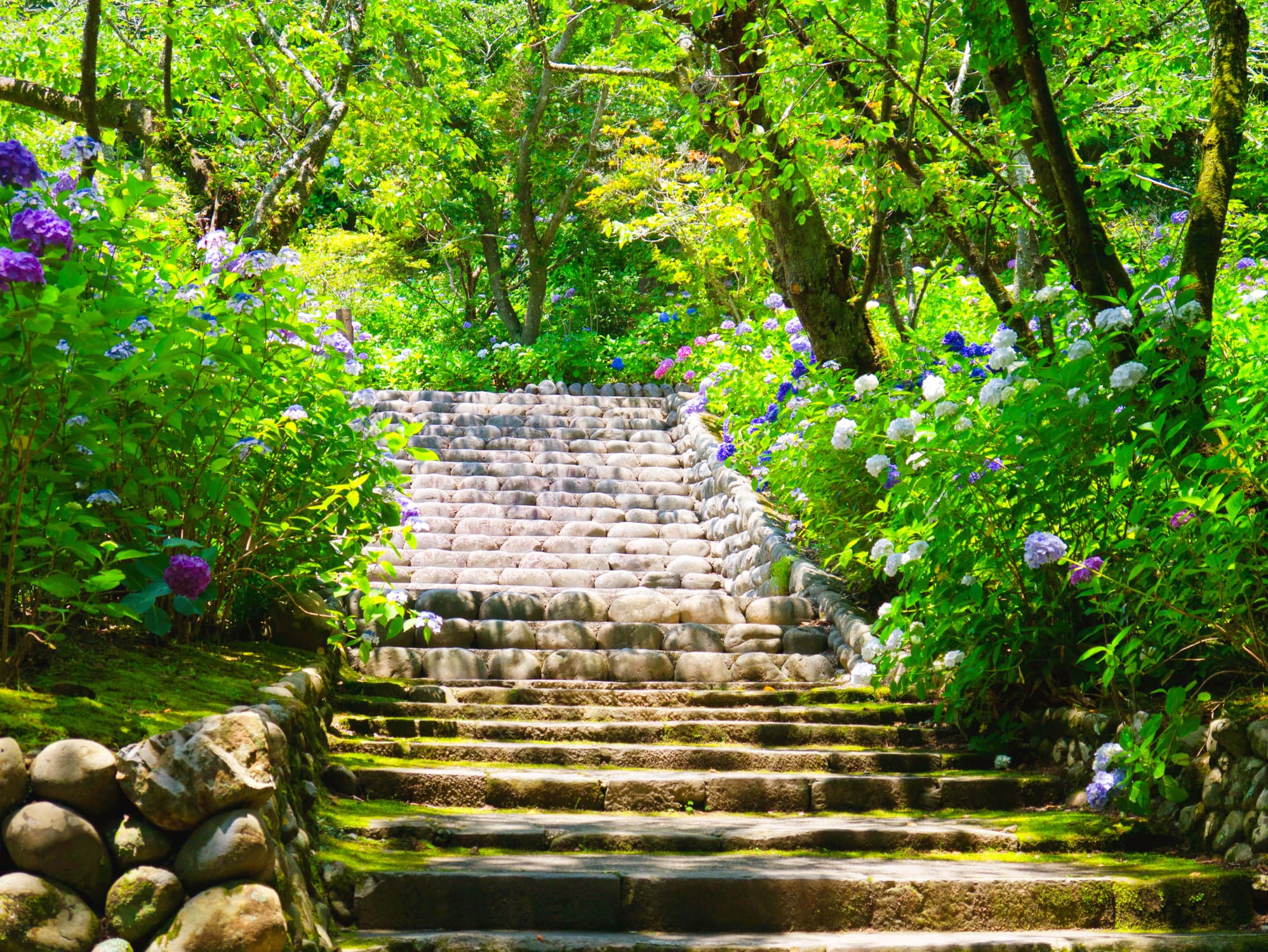 Hase-dera