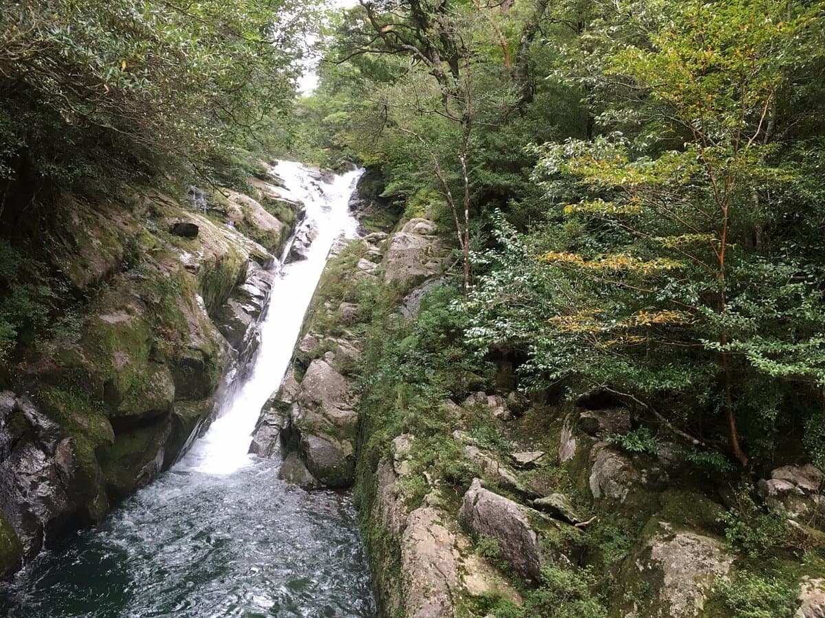 Shiratani Unsuikyo Tal