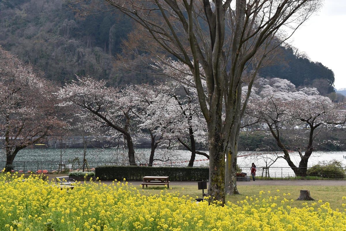 Kanagawa Präfekturpark am Tsukui-See Shiroyama, Wassergarten, Blumengarten