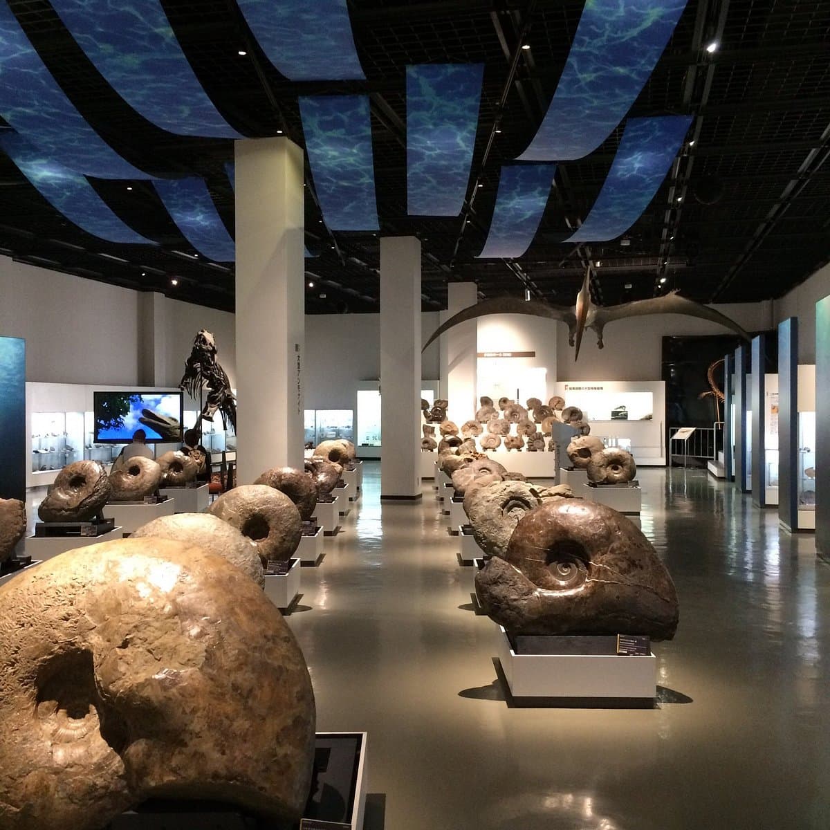 Mikasa Stadtmuseum