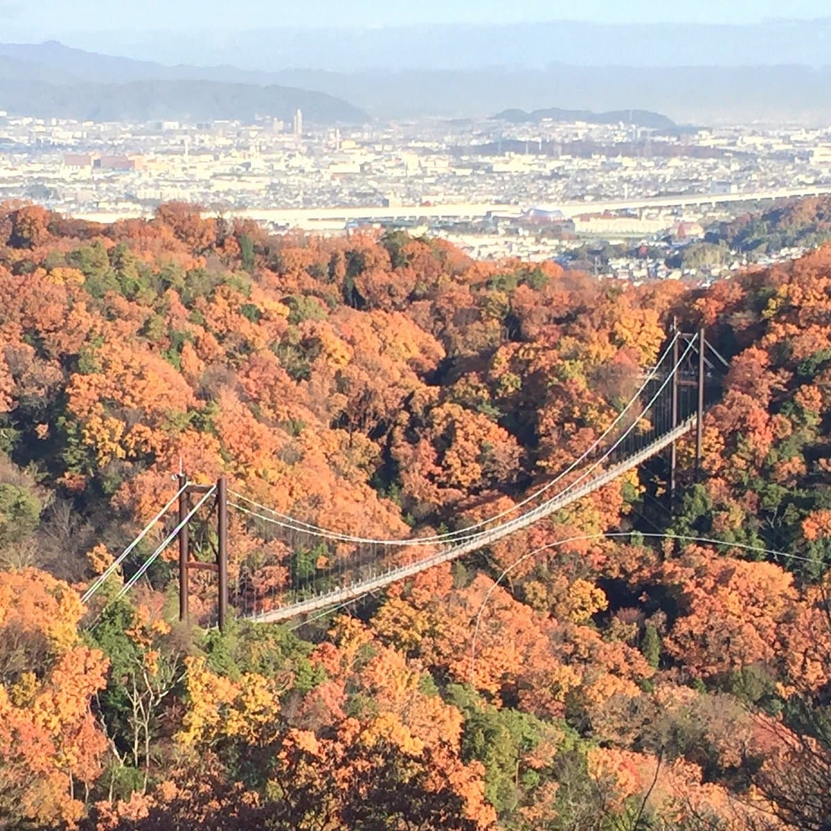 Hoshida Enchi, Präfekturparks Osaka
