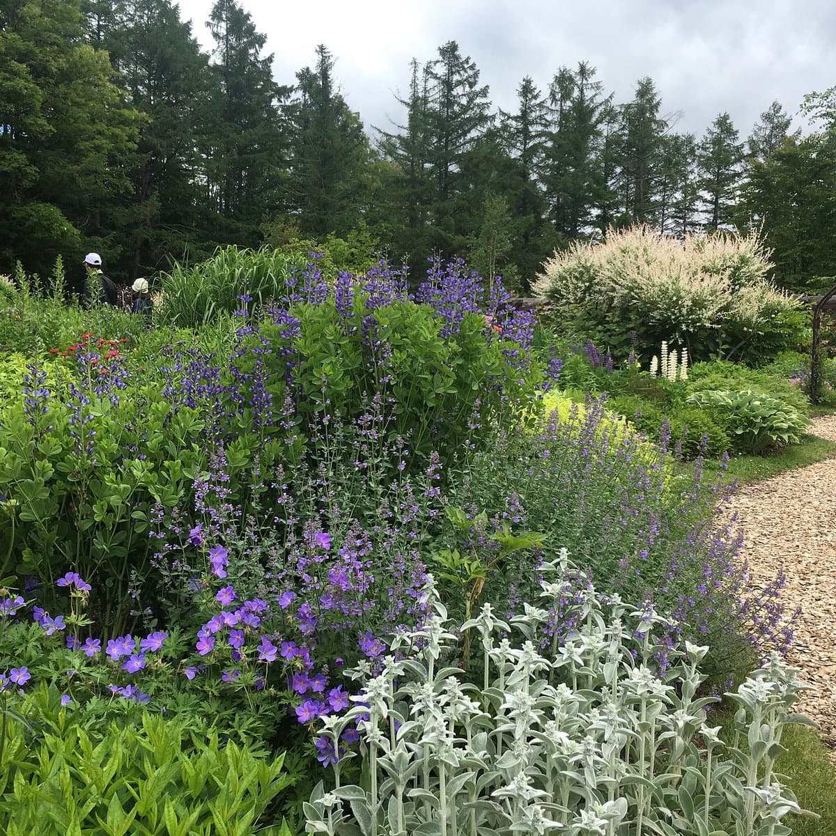 Garten des Windes