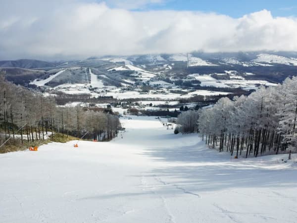 Skigebiet Sugadaira Kogen Pine Beak
