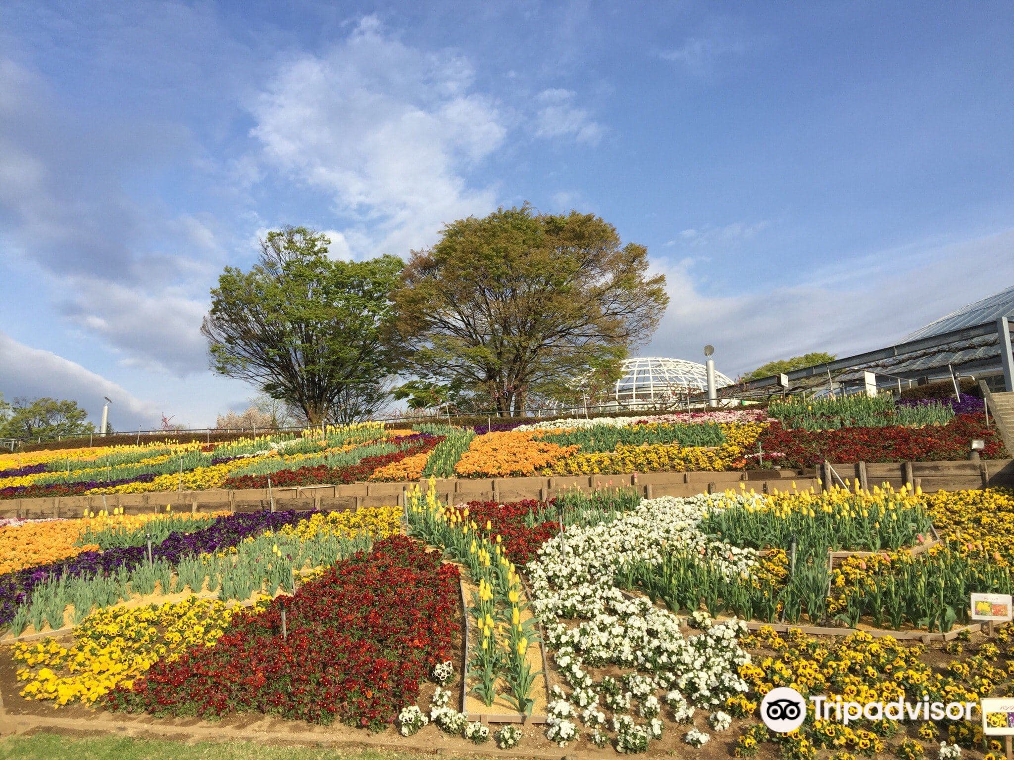 Obstpark Yamanashi Fuehukigawa