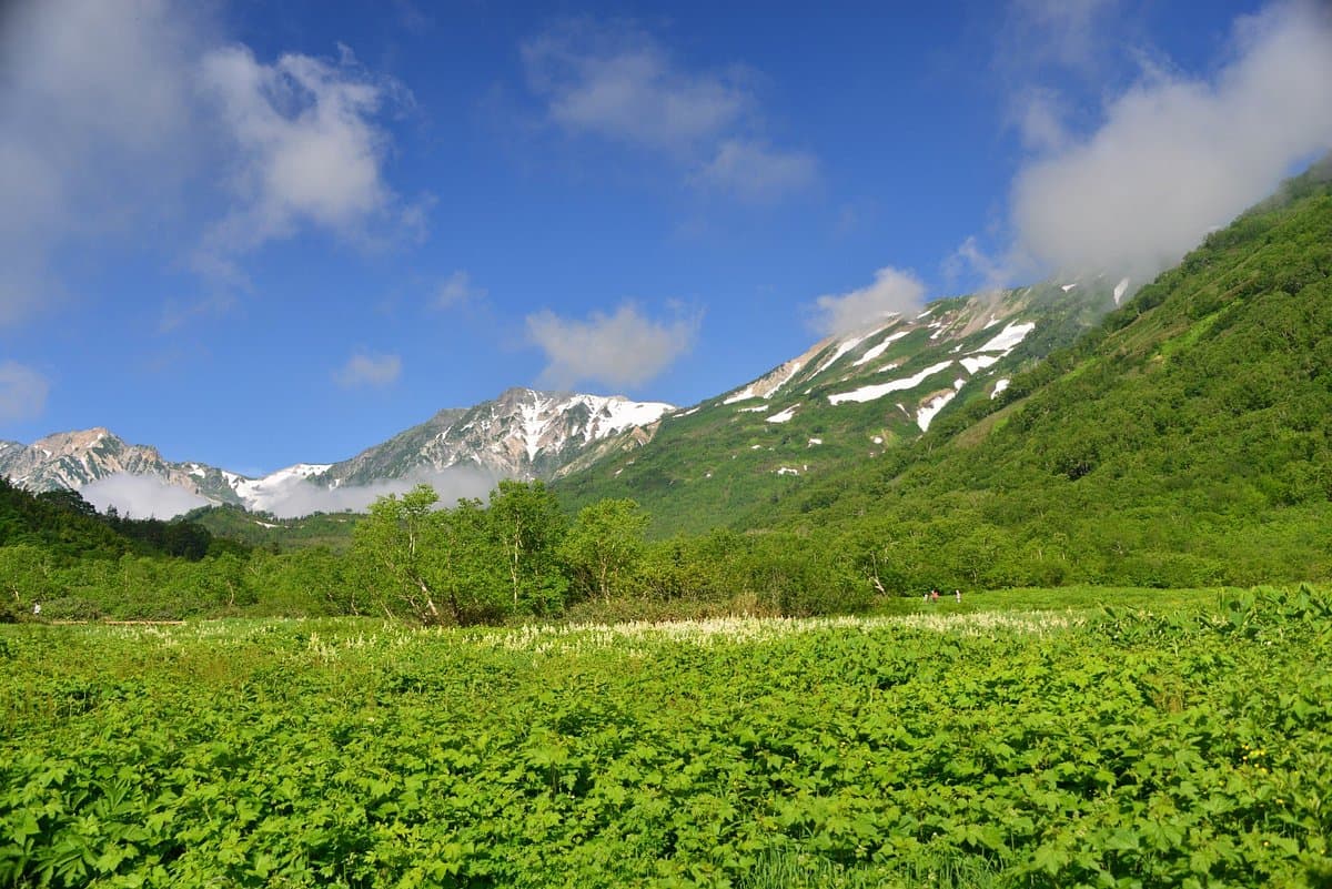 Tsugaike Naturpark