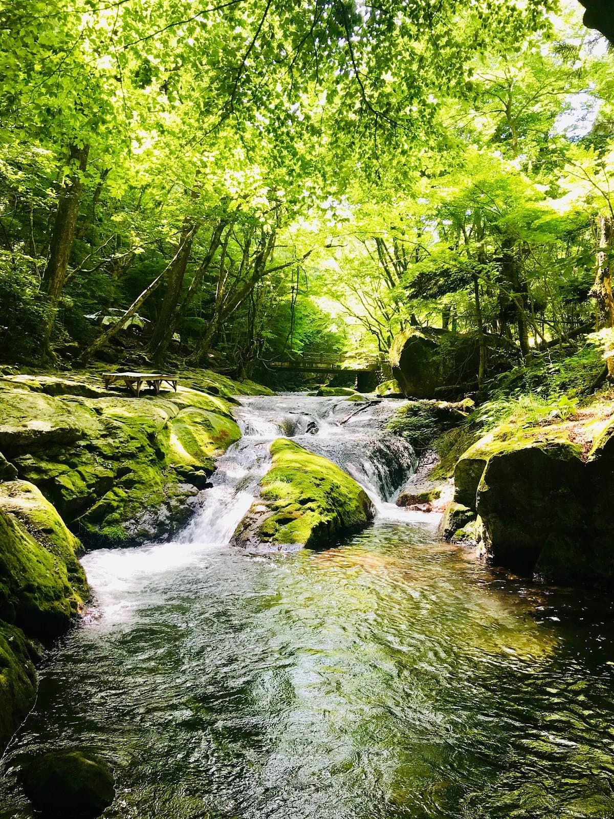 Kotarogafuchi