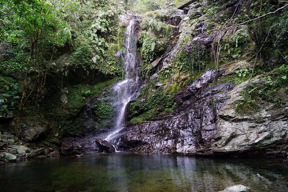 Fukugawa Falls cover image