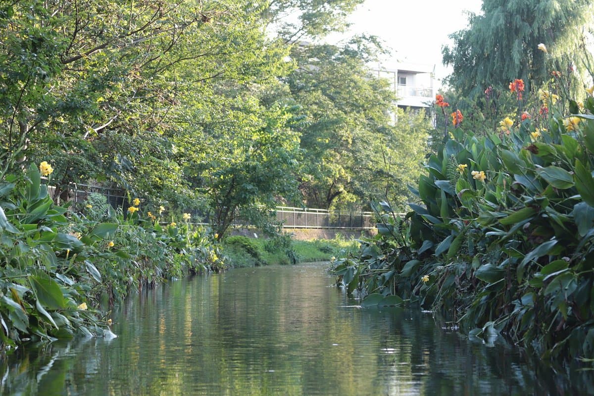 Ochiai-Fluss und Minamisawa-Quellen
