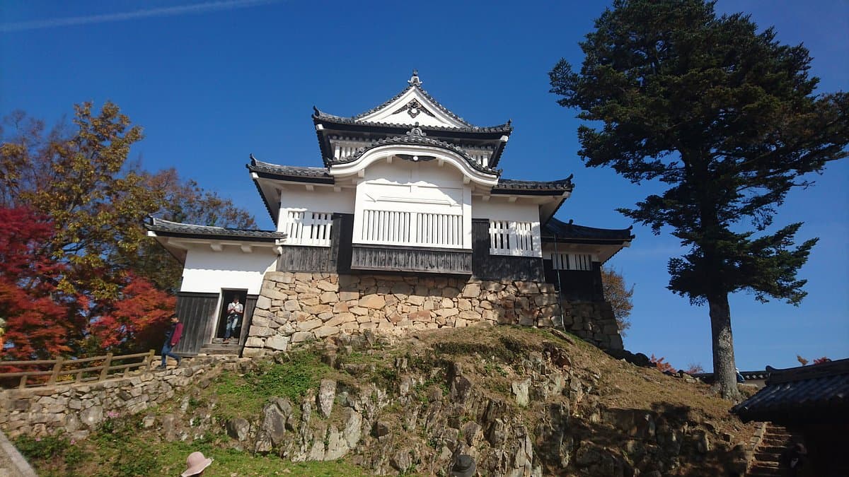 Burg Bitchu Matsuyama