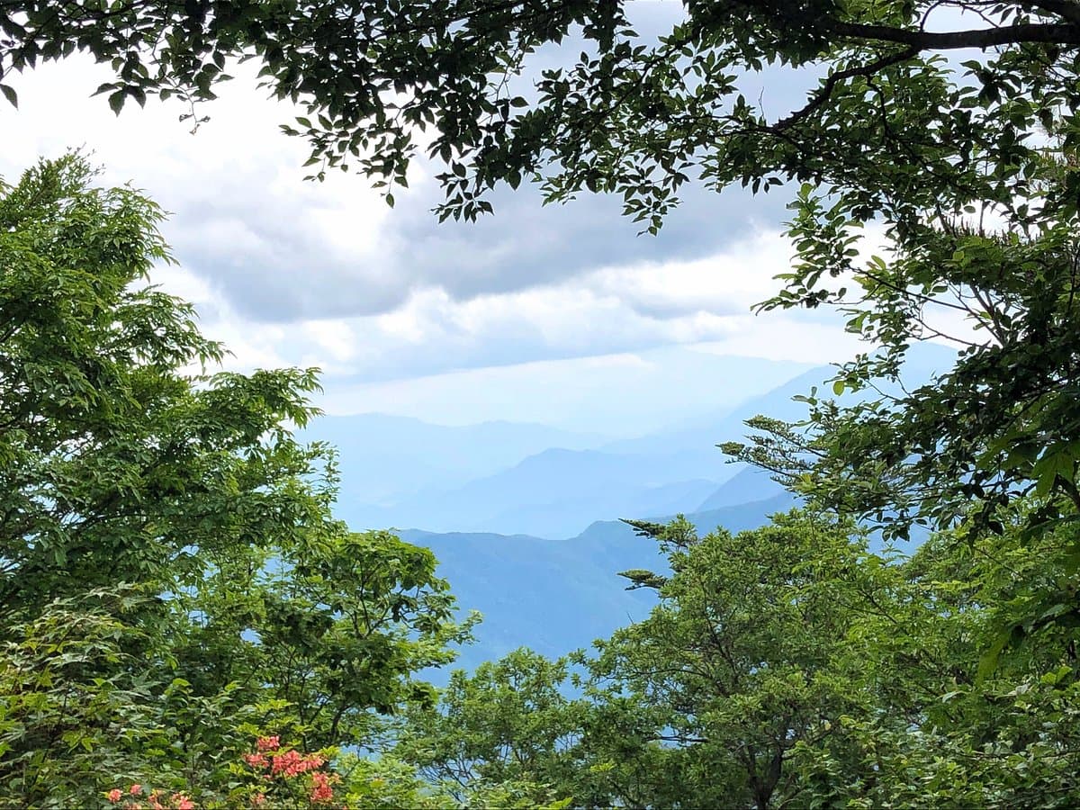Mt. Mito cover image