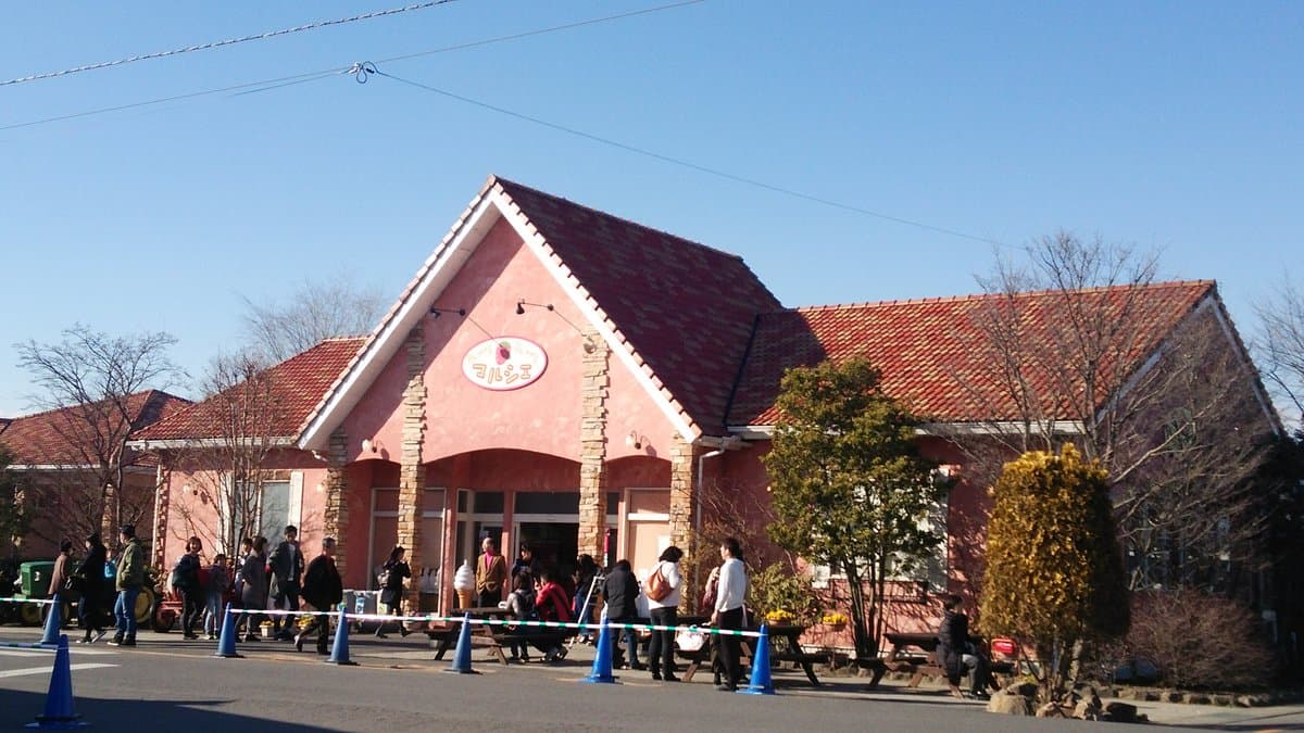 Ichigo No Sato cover image