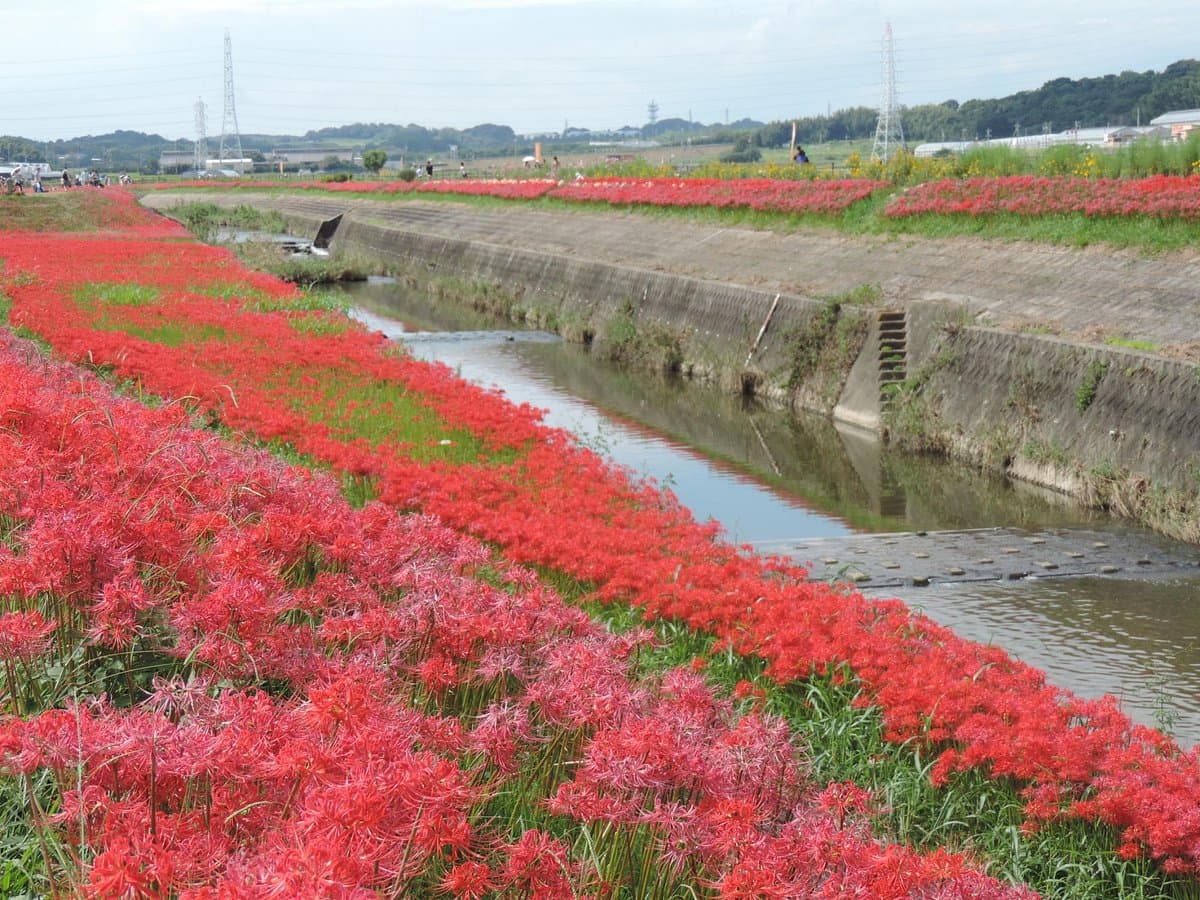 Niimi Nankichi Gedenkmuseum