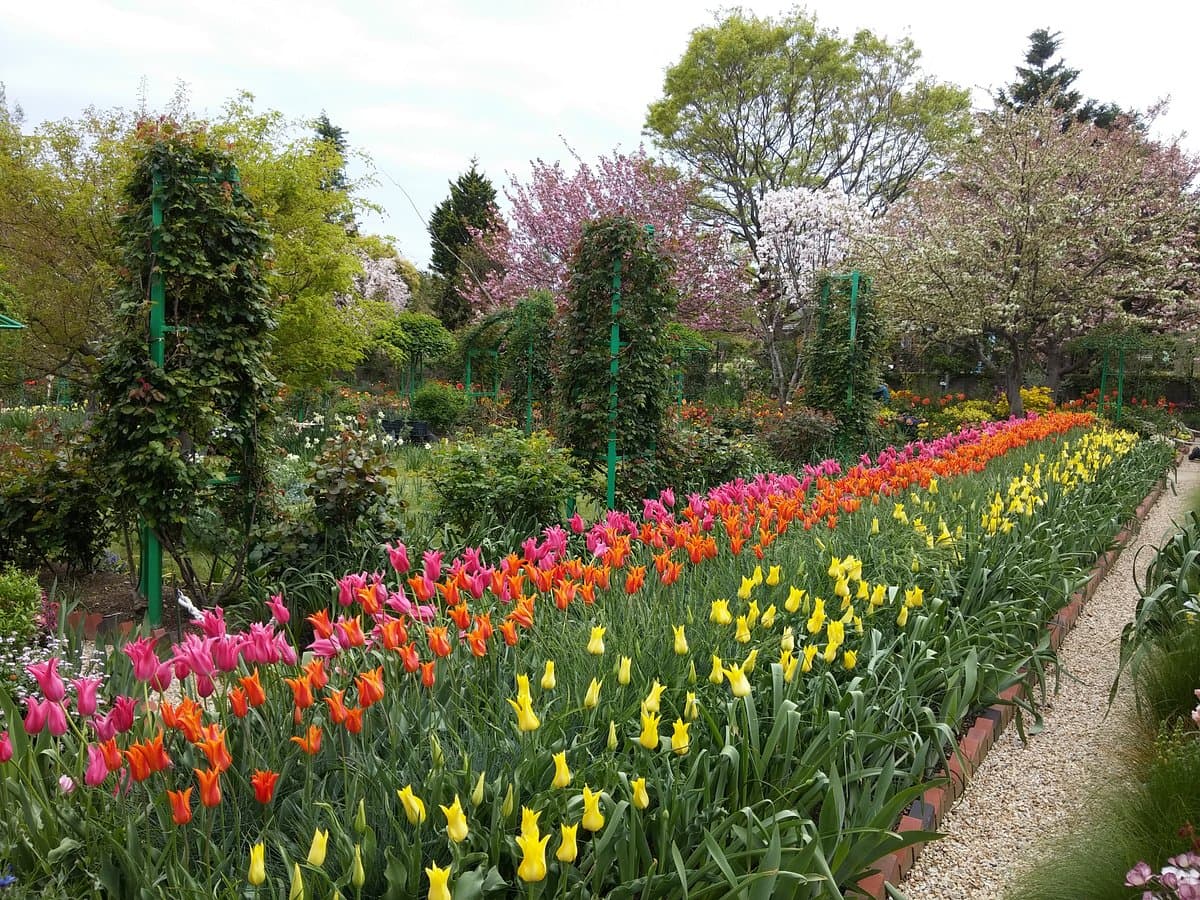 Hamanako Gartenpark