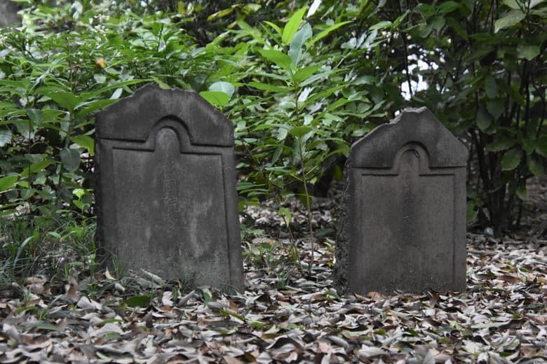 Arima Family Plot cover image
