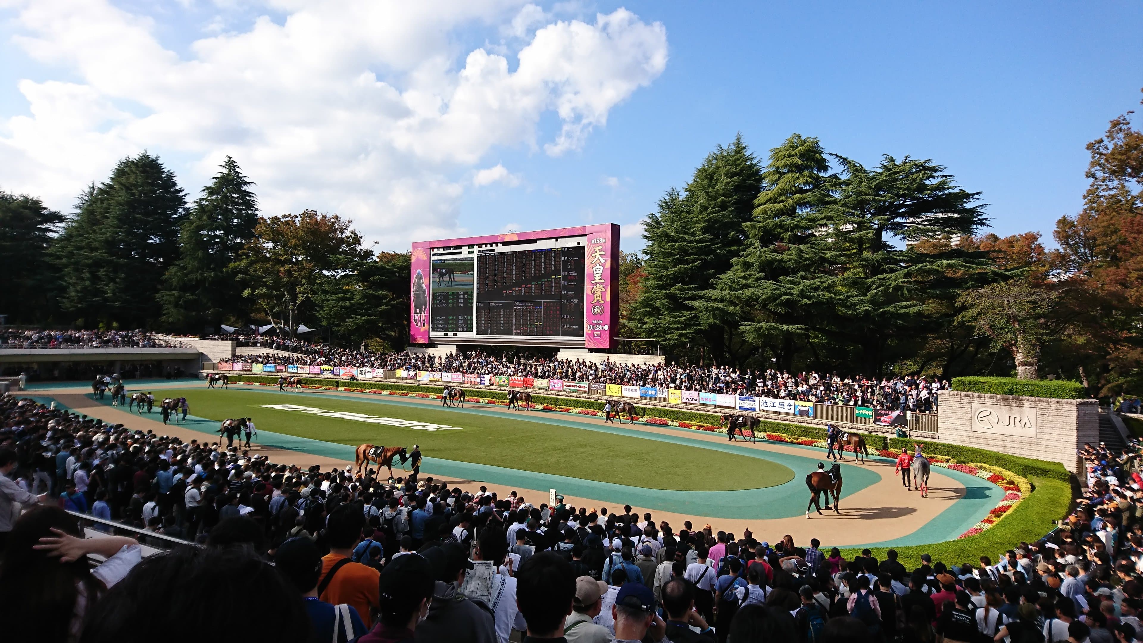 JRA Tokyo Racecourse cover image