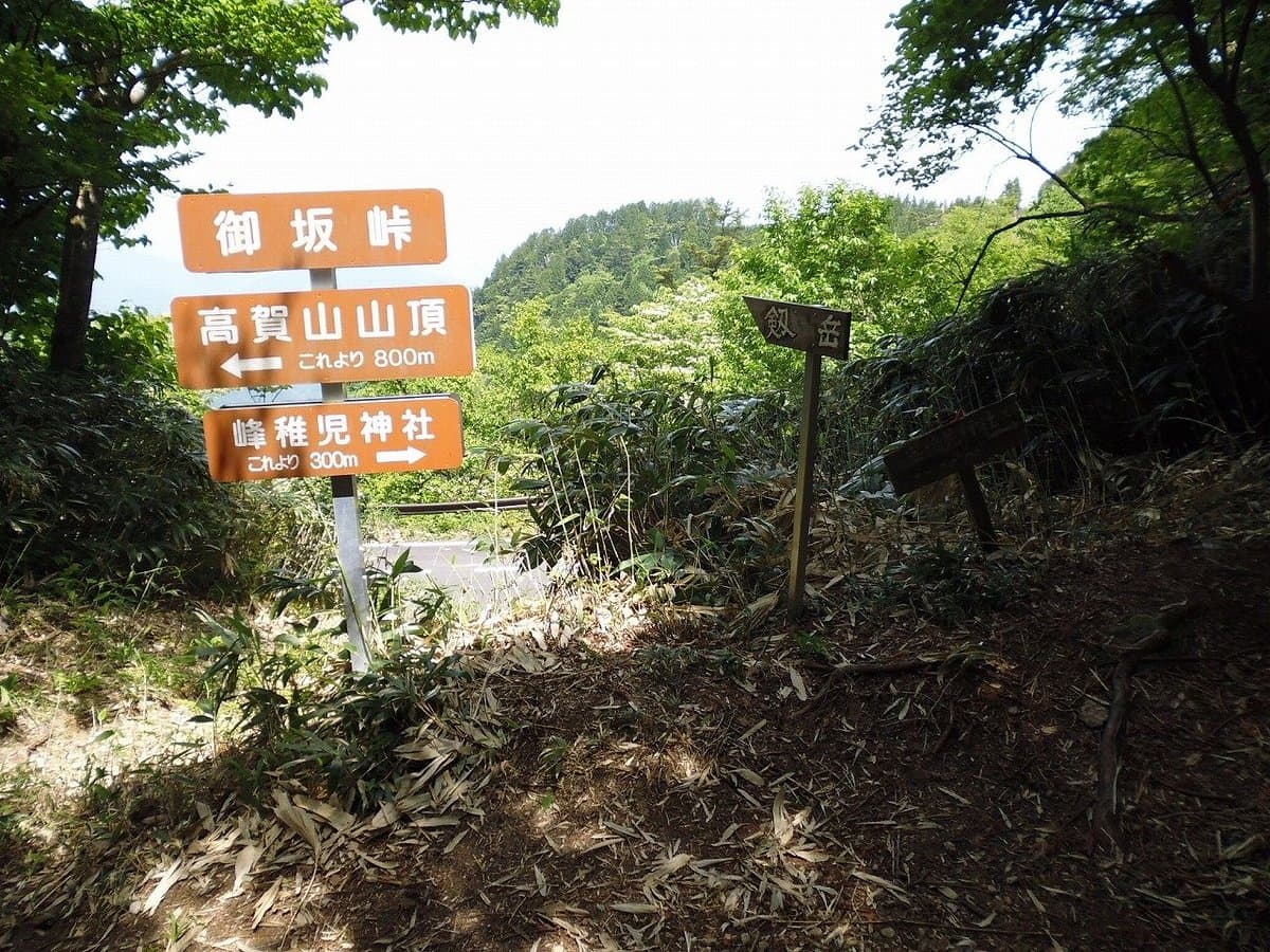 Berg Koka
