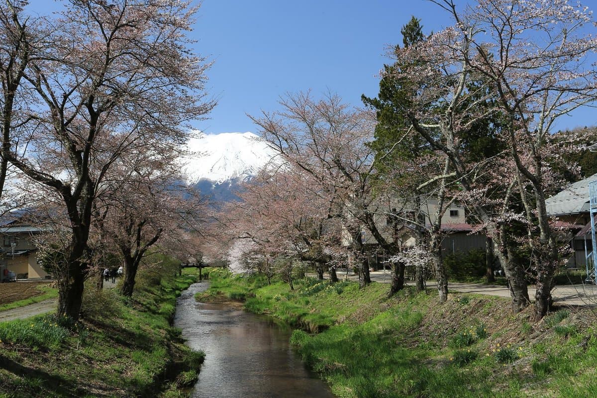 Oshino Omiya Brücke