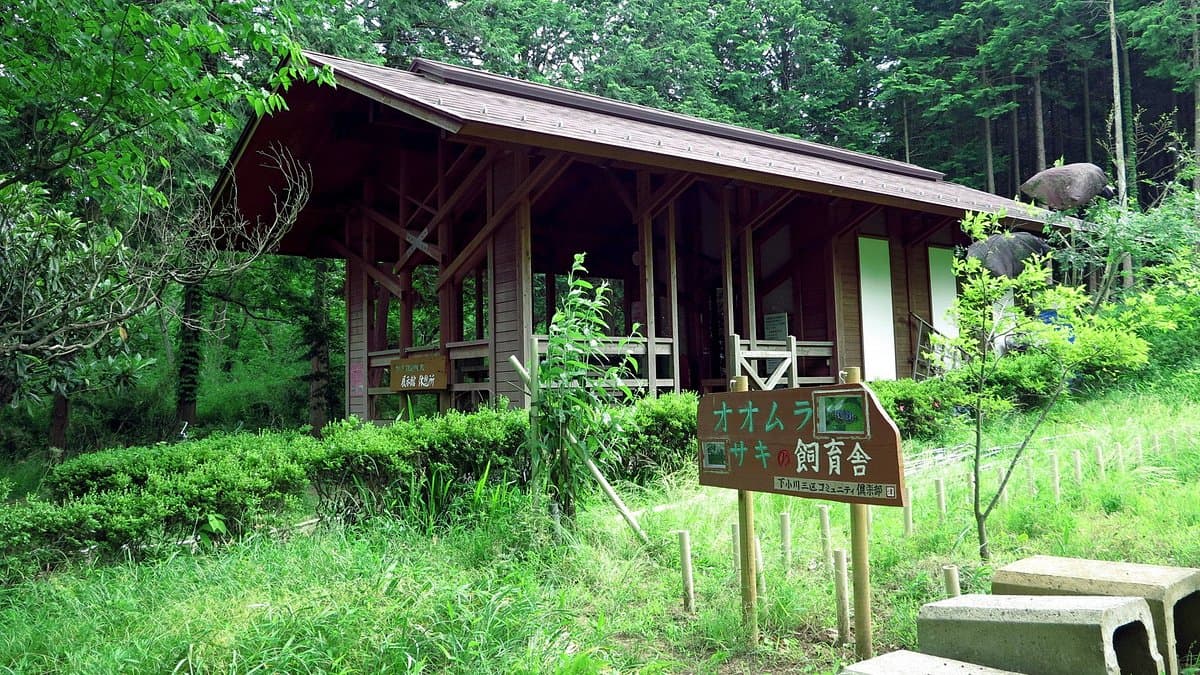 Katakuri to Omurasaki Wald