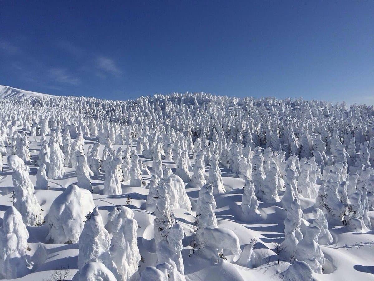 Yamagata Zao Onsen Skigebiet