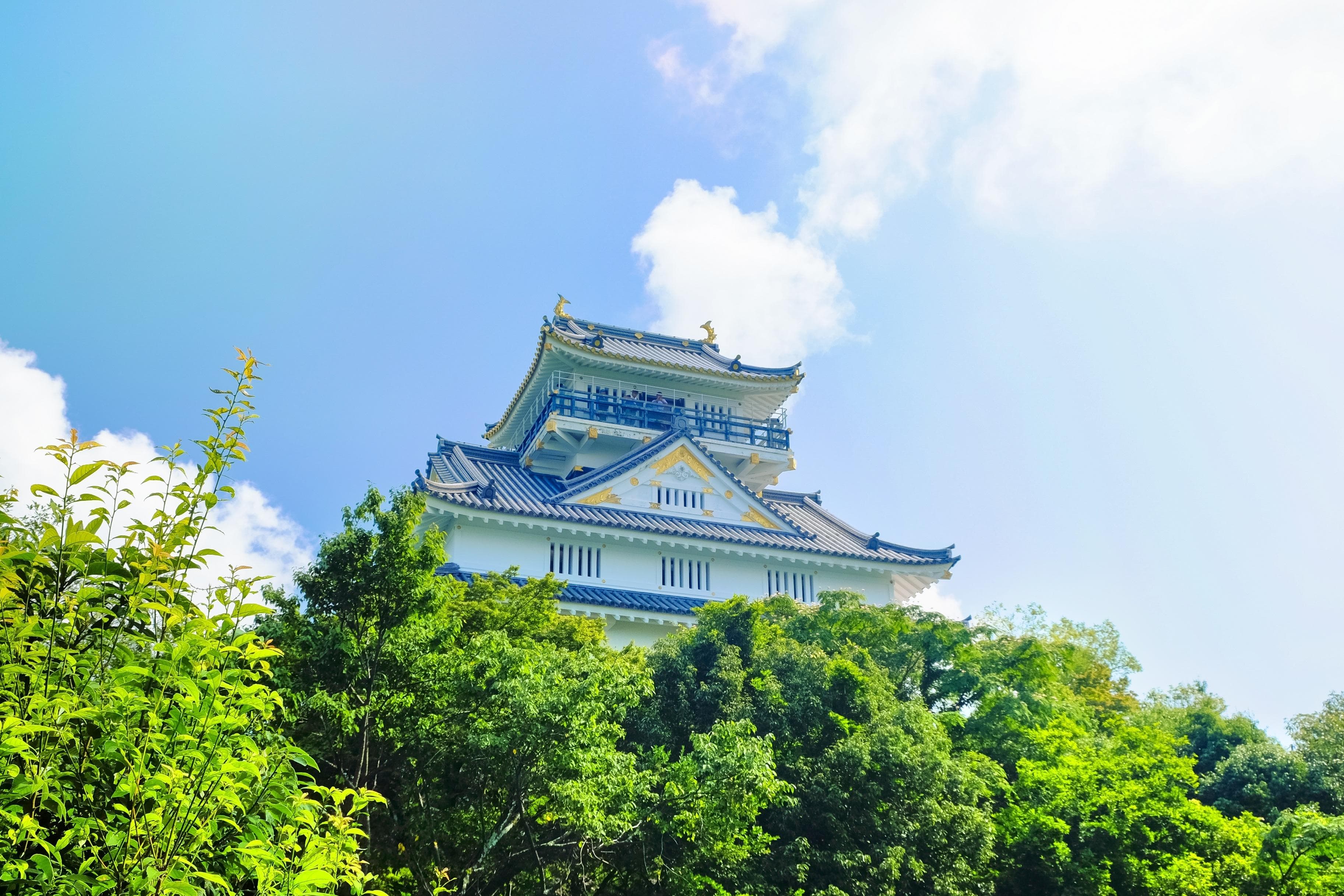 Burg Gifu