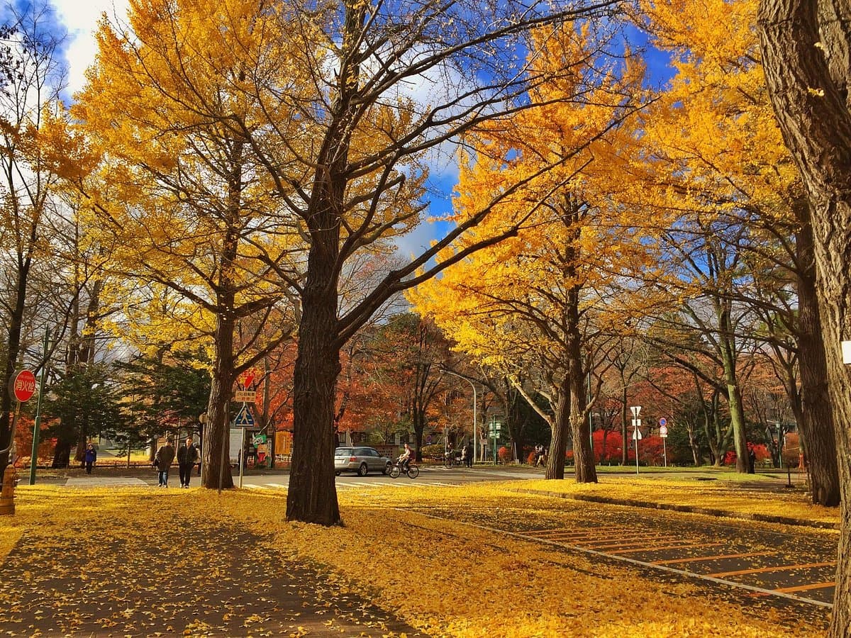 Universität Hokkaido Campus Sapporo