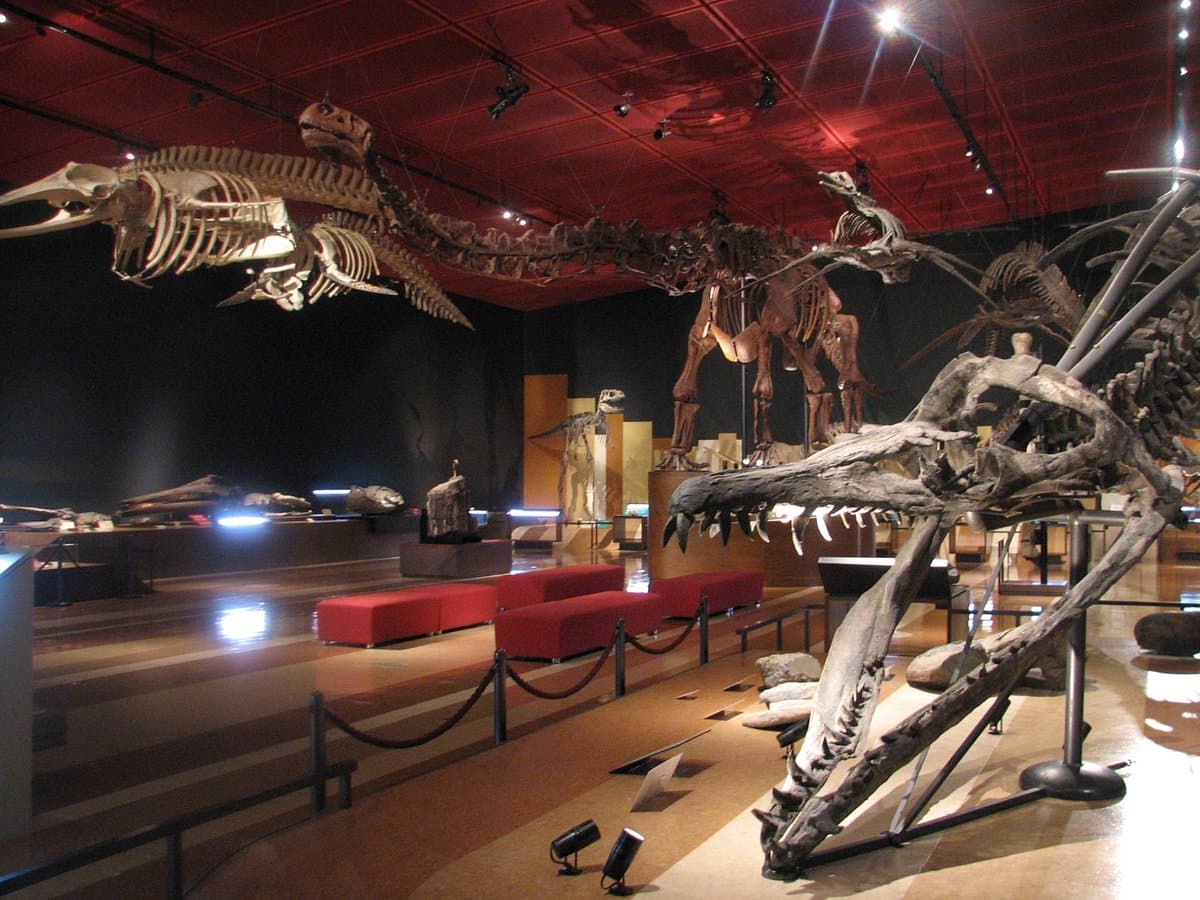 Kohle- und Fossilienmuseum