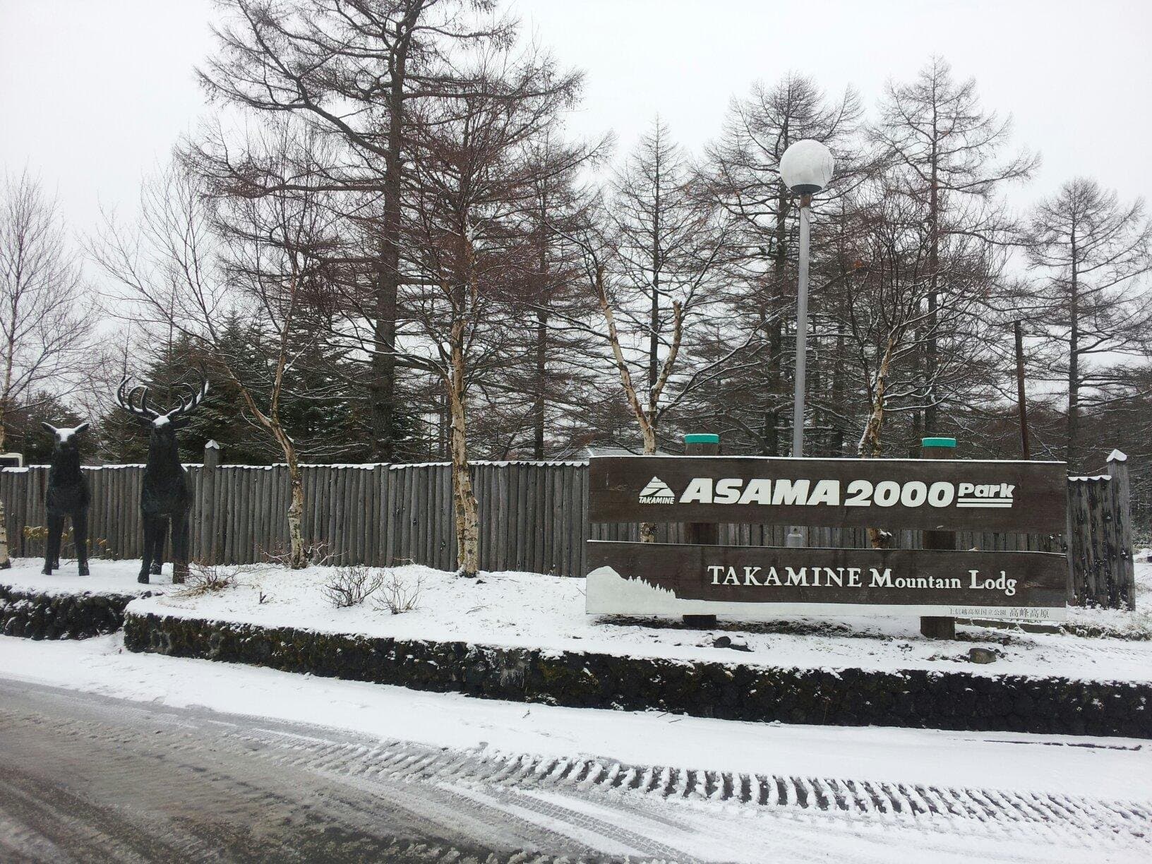 ASAMA 2000 Park