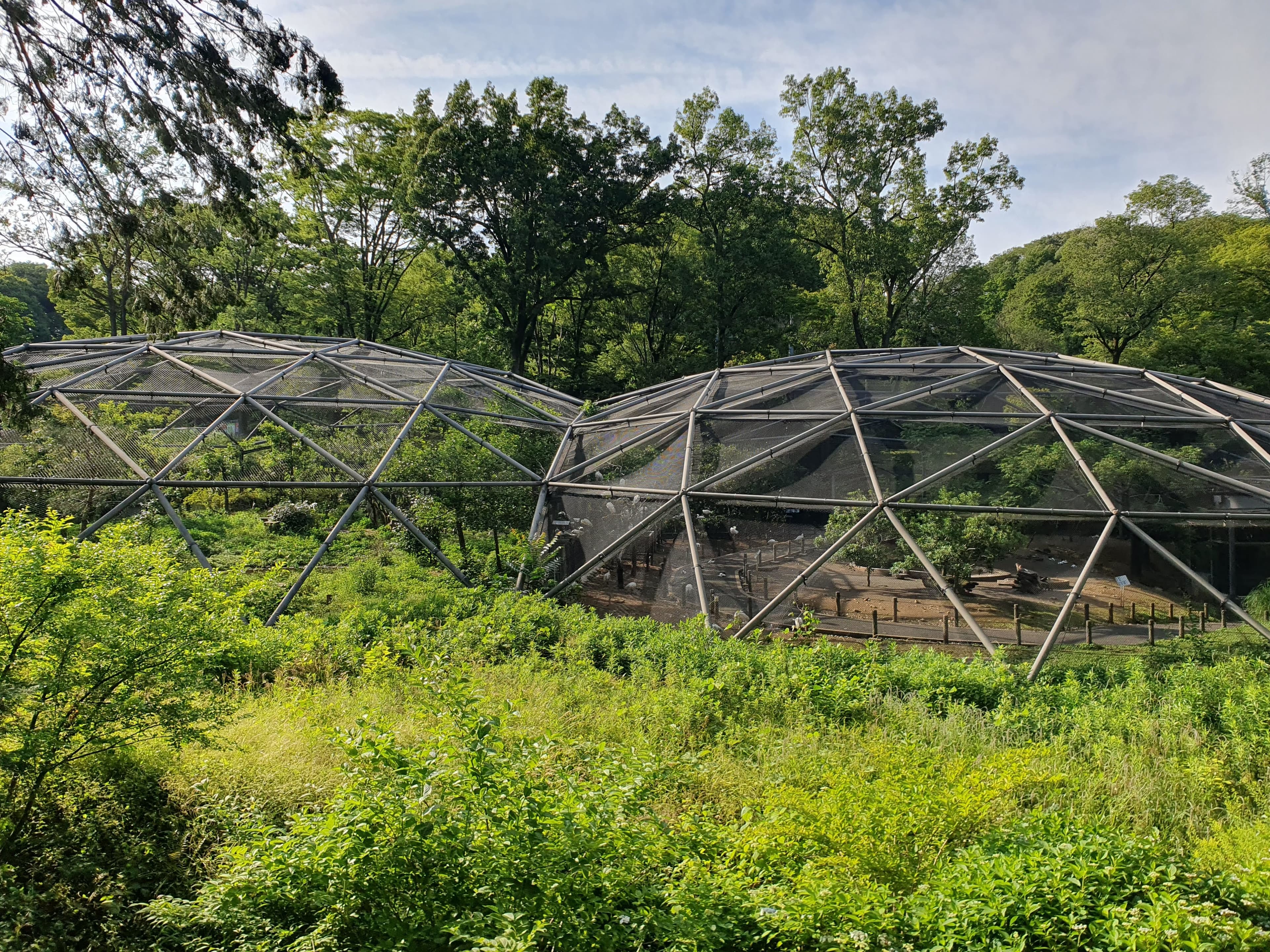 Tama Zoologischer Park