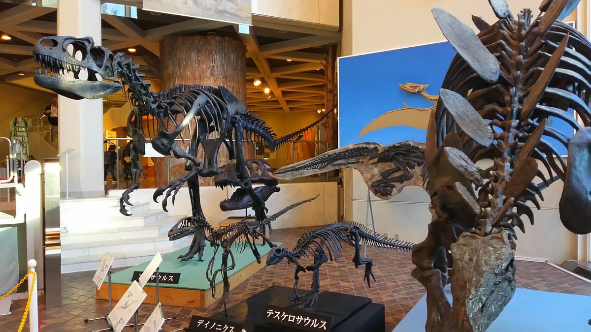 Präfekturmuseum Gifu