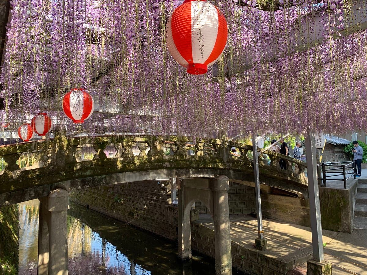 Nakayama Oto Festival