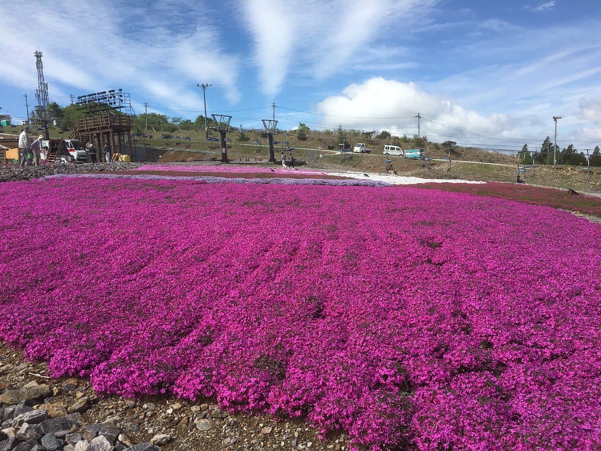 Chausuyama-Plateau