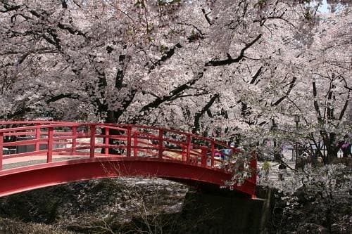 Kasuga Park cover image