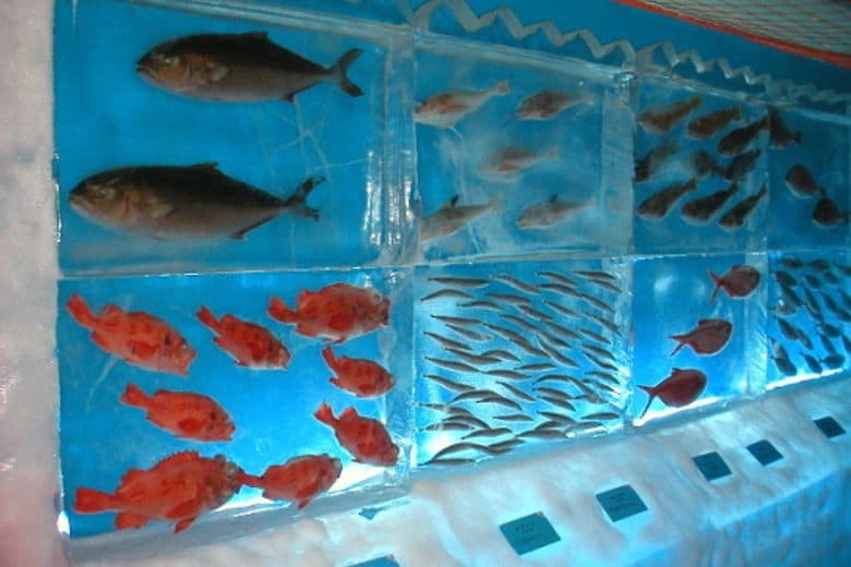 Eisaquarium Kori no Suizokukan