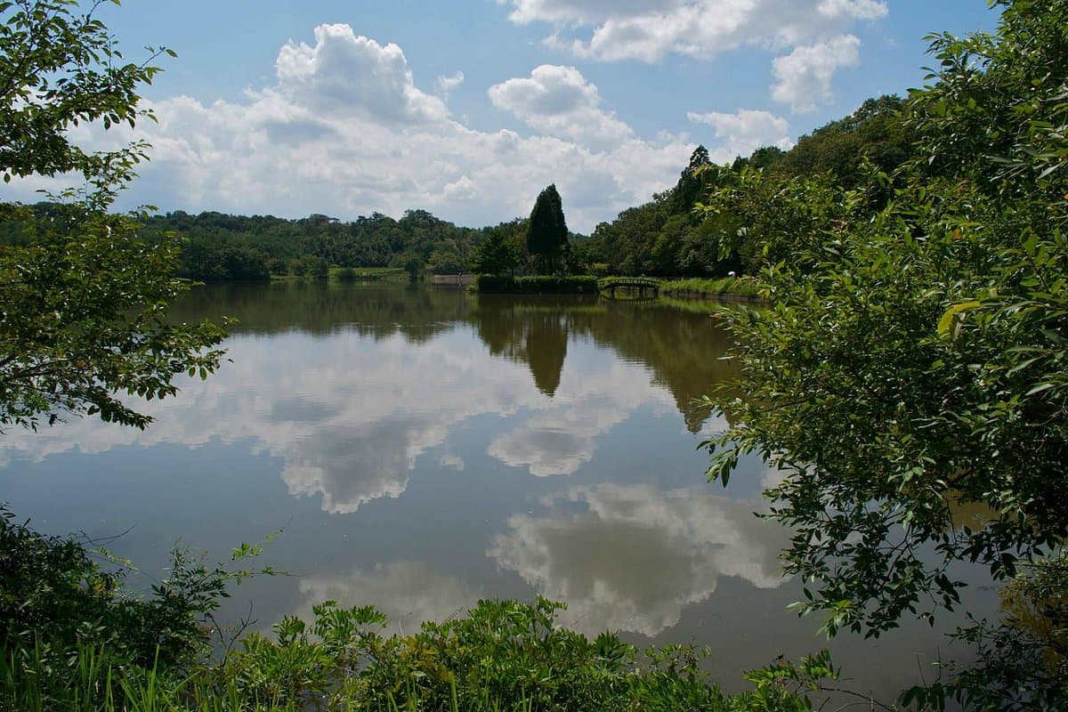 Arimafuji Park