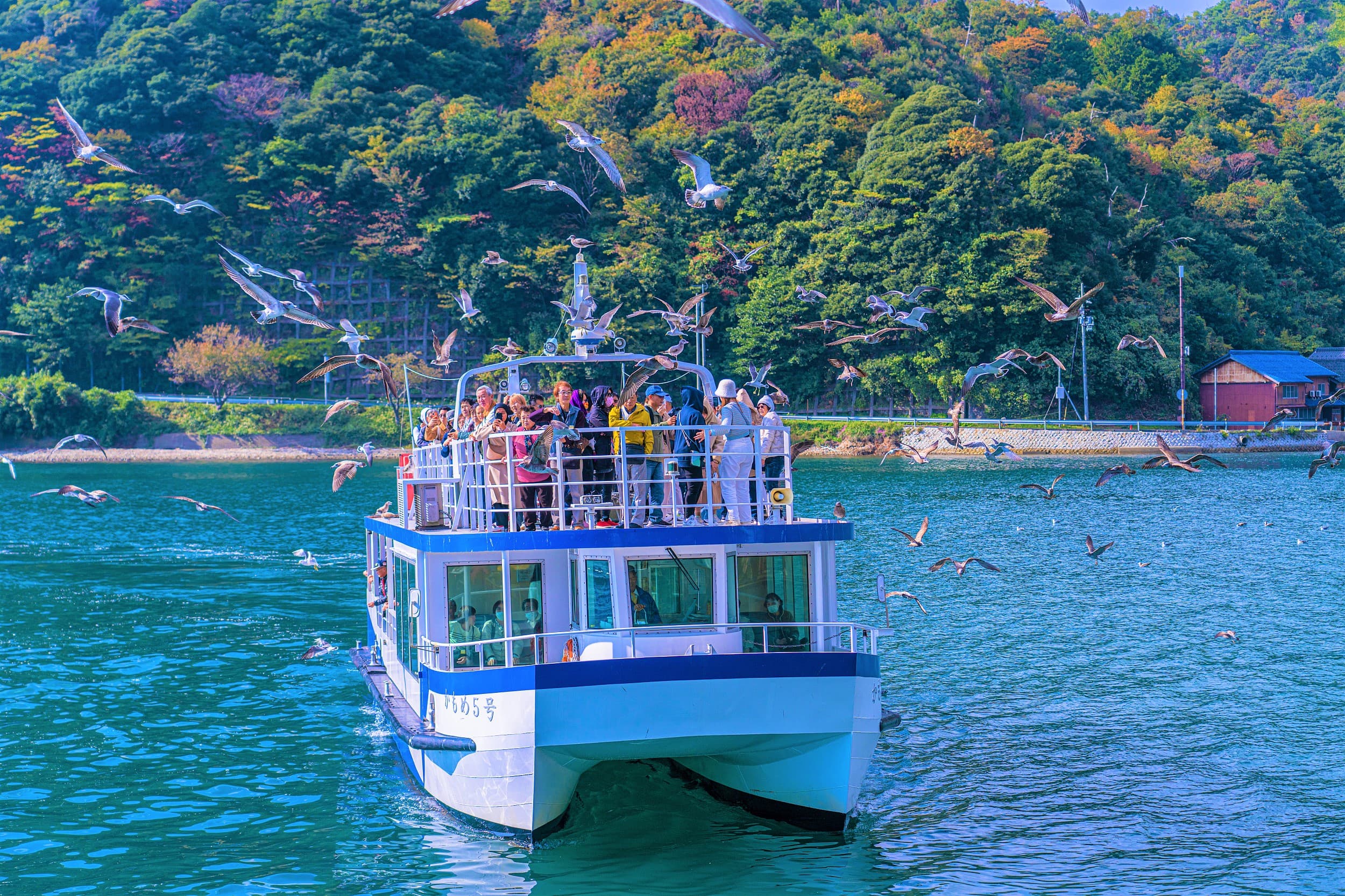 Ine Bucht Sightseeing Boot