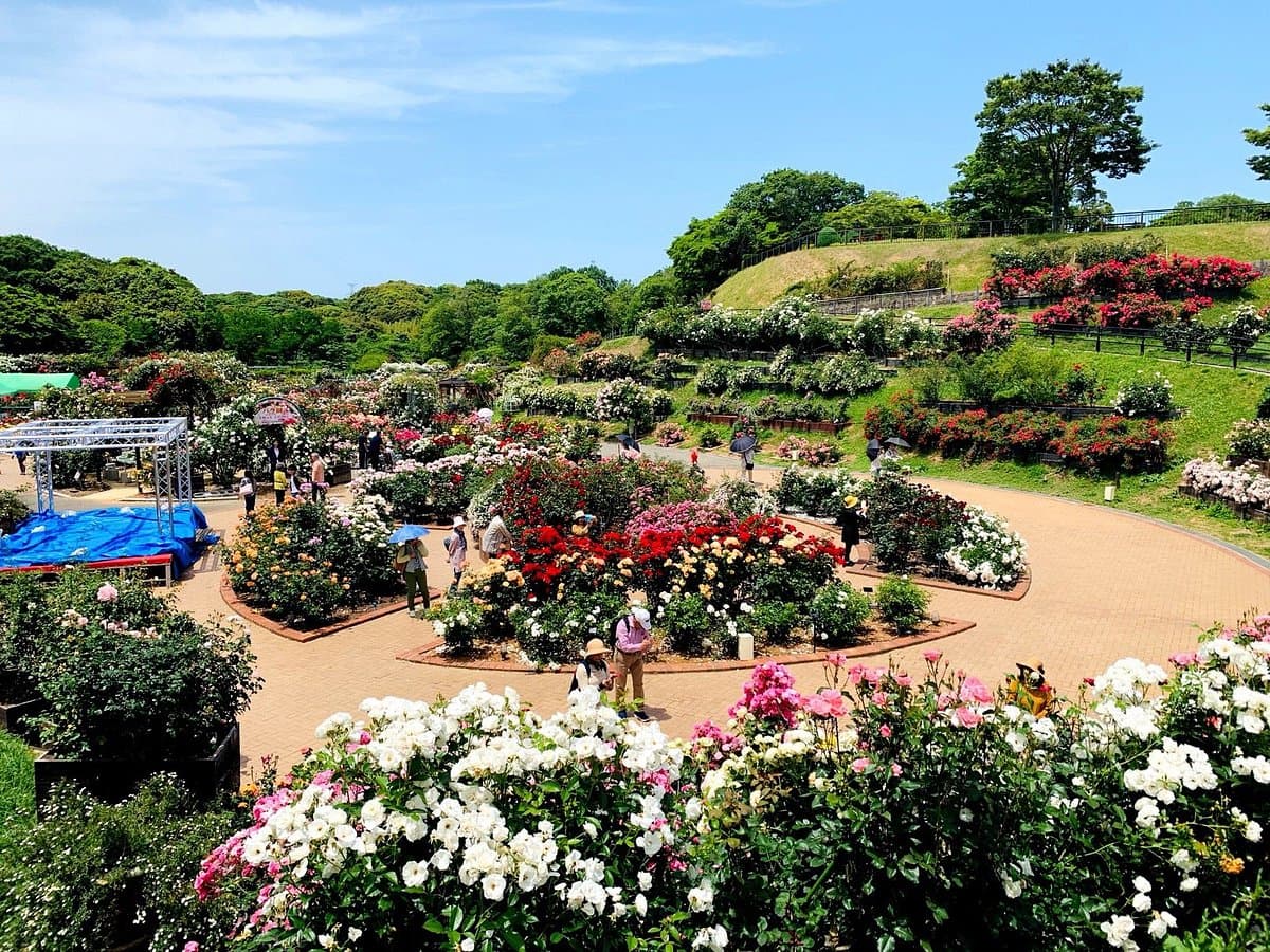 Grüner Park