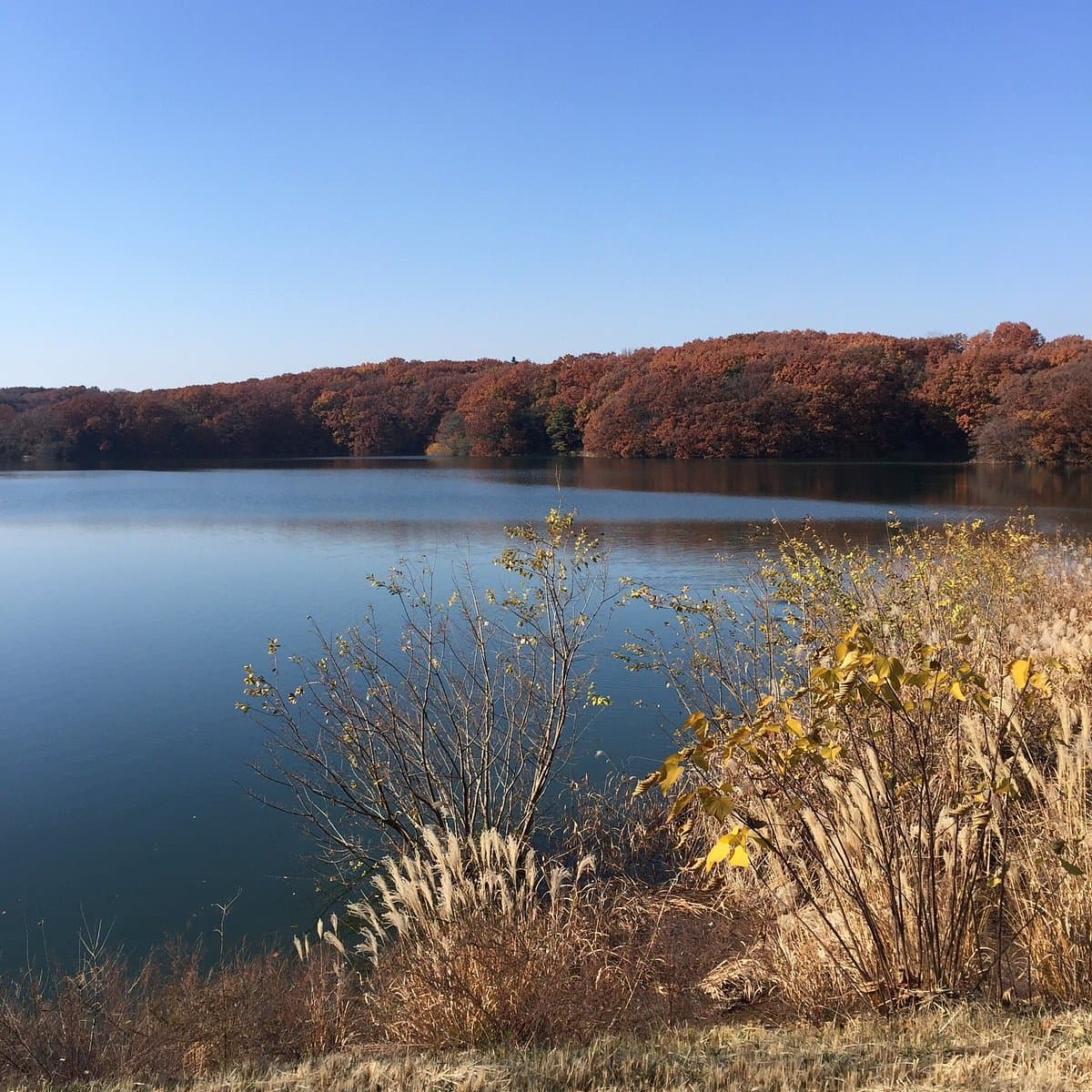 Naturpark der Präfektur Sayama