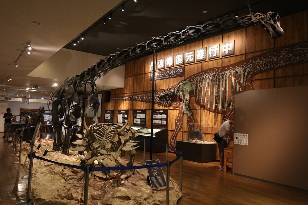 Tamba Dinosaurier Fossilien Studio Chitan Museum