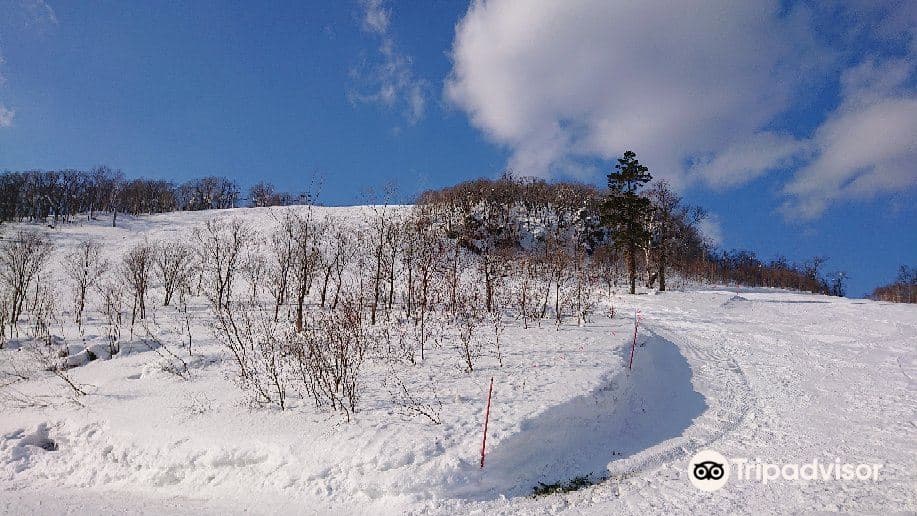 Skigebiet Nayoro Piyashiri