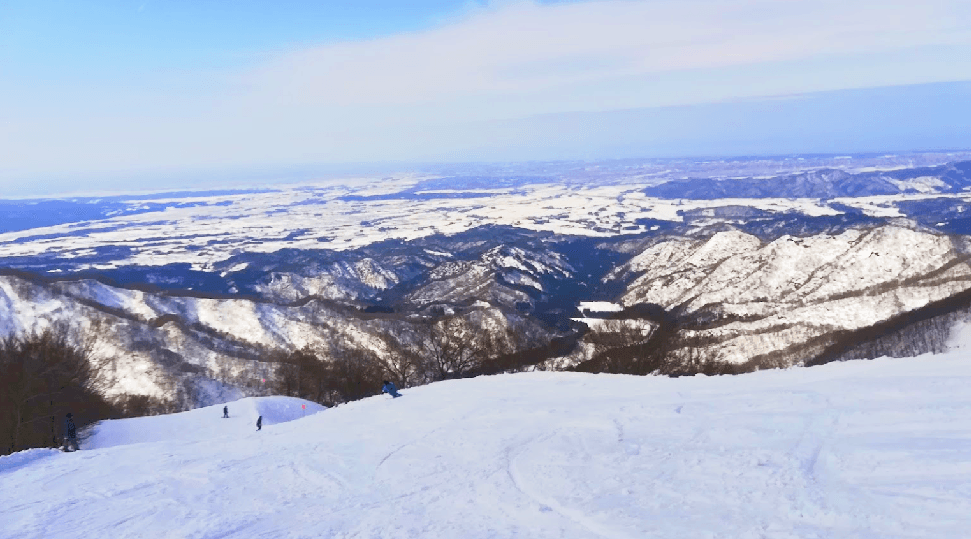 Ninox Snow Park