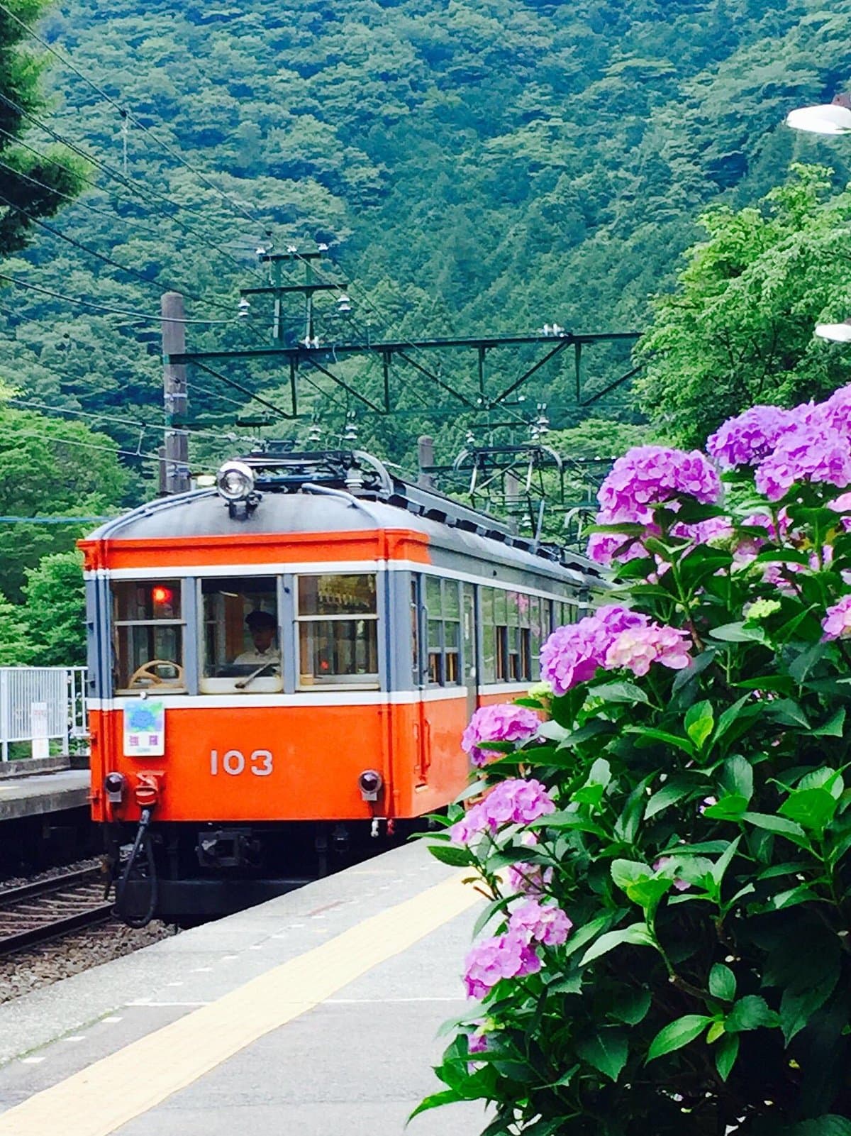 Hakone Tozan Eisenbahn