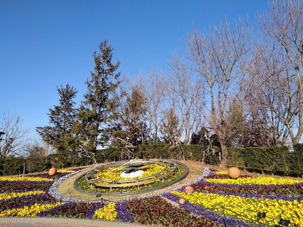 Denpark cover image