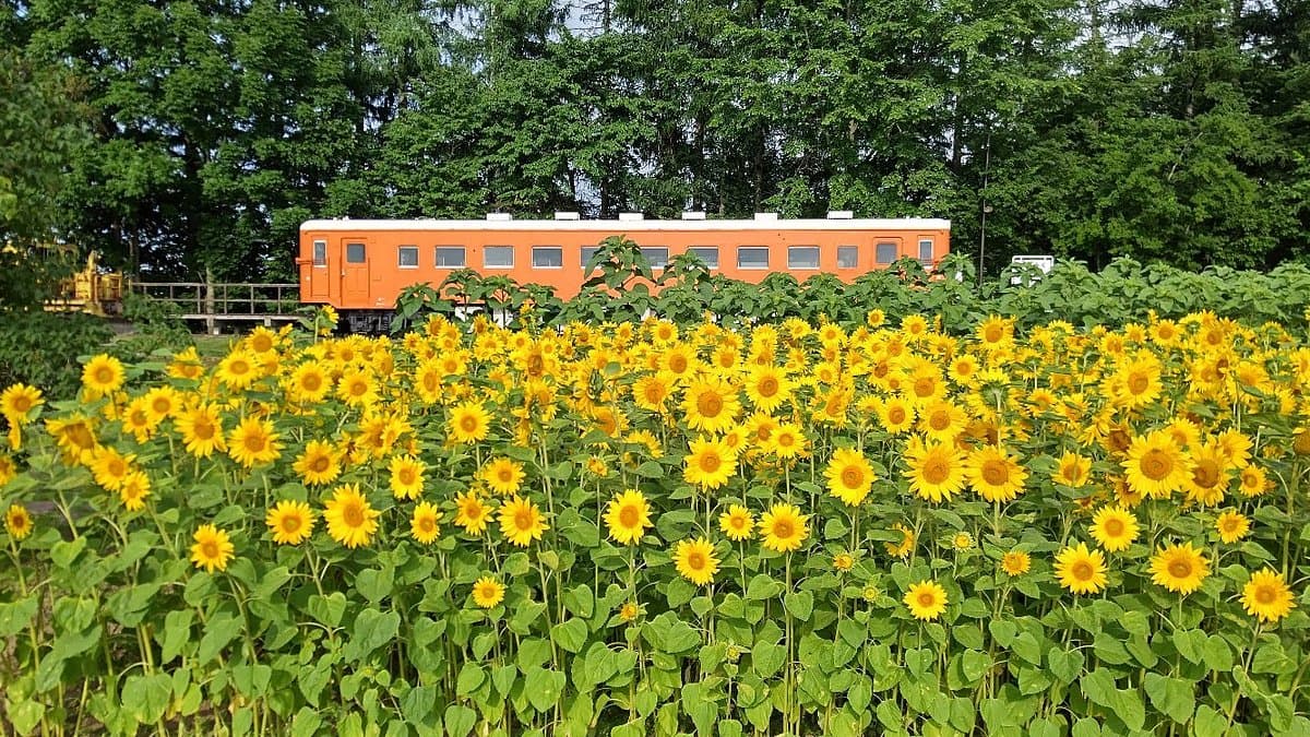 Bahnhof Kofuku