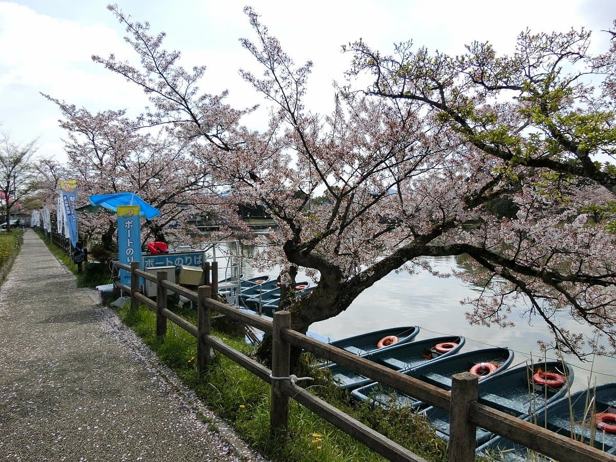 Alte Burg Sasayama