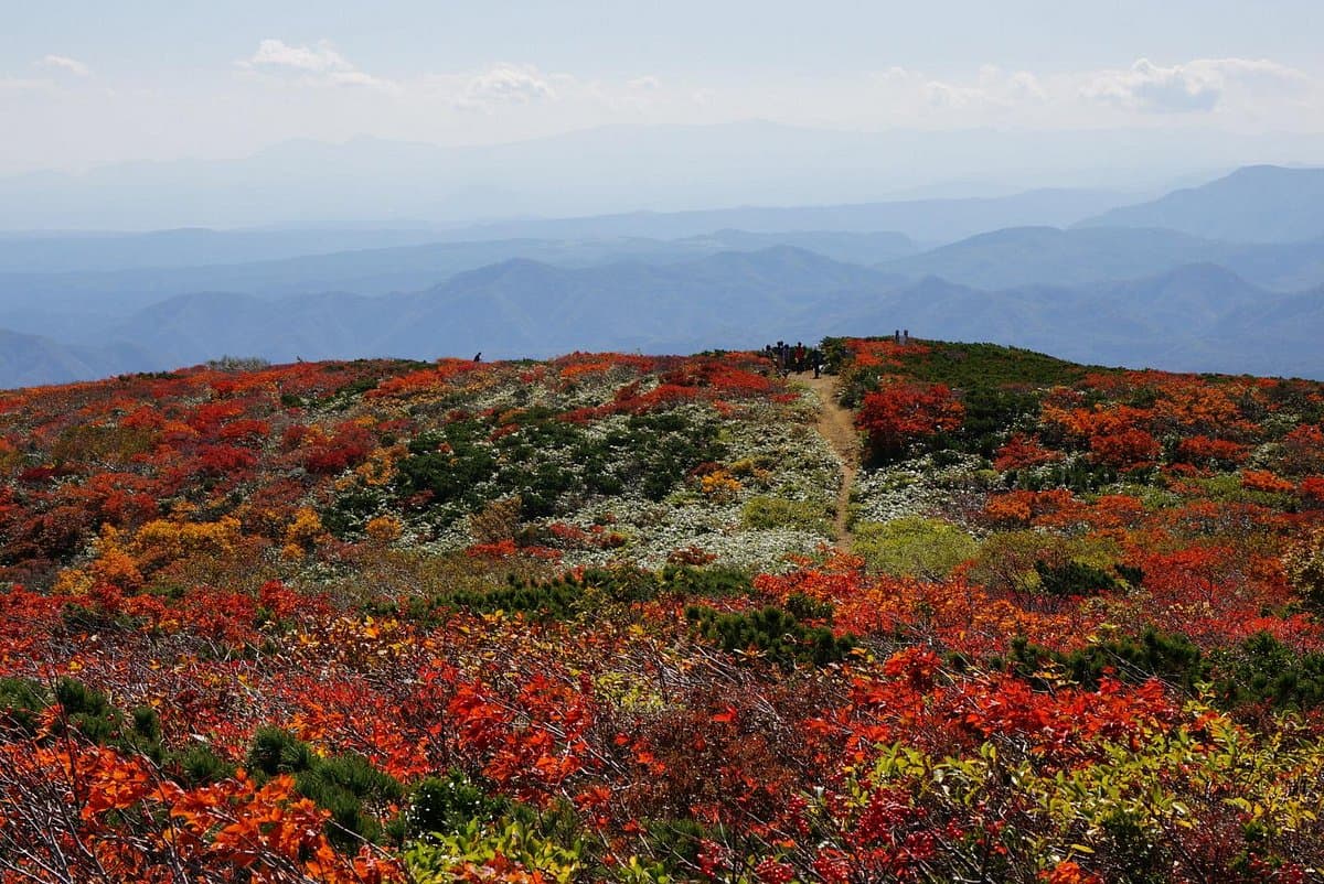 Berg Kurikoma
