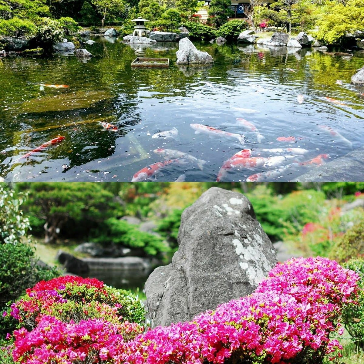 Hayama Shiosai Park