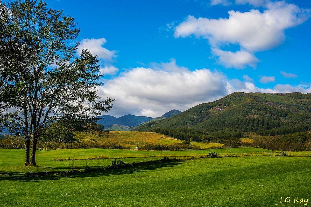 Tokachi Millennium Forest